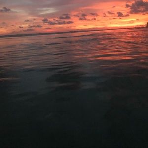 Meet your Posher, Lacy